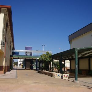 instituto pedro hispano